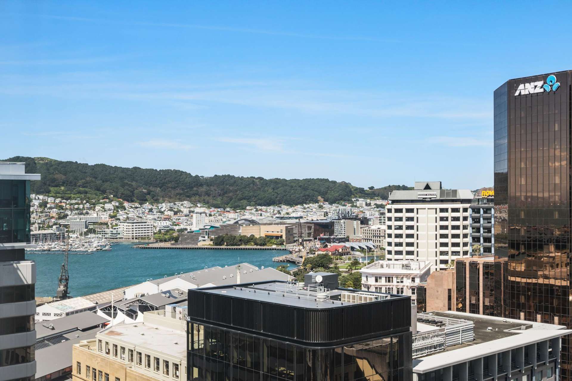 17C/35 Johnston Street Wellington Central_0