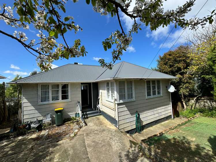 58 Kotuku Street Elsdon_7