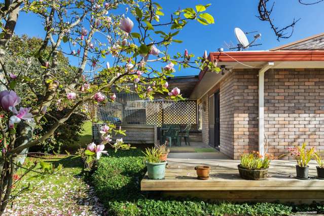 9 Hawke Place Pukekohe_3