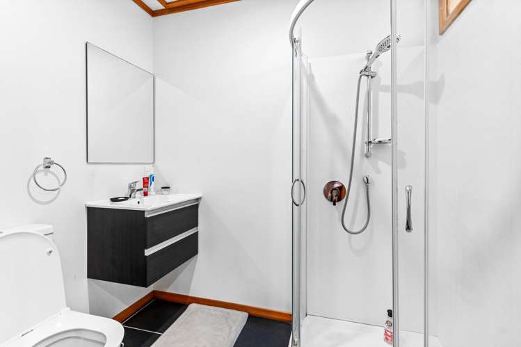 44 Larnach Road Waverley_9