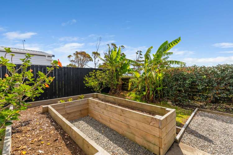 1505 Inland Road Karikari Peninsula_18