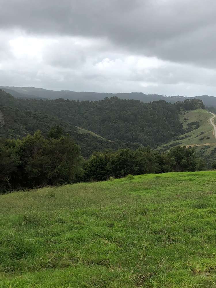 283 J Tolhopf Road Puhoi Rodney Rural Property For Sale One Roof