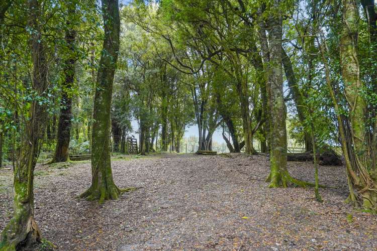 387 Tauranga Direct Road Hamurana_36