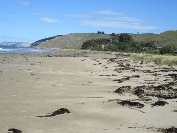 585 Mangakuri Road Elsthorpe_18