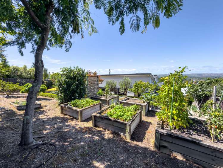 11 Konini Street Lansdowne_12