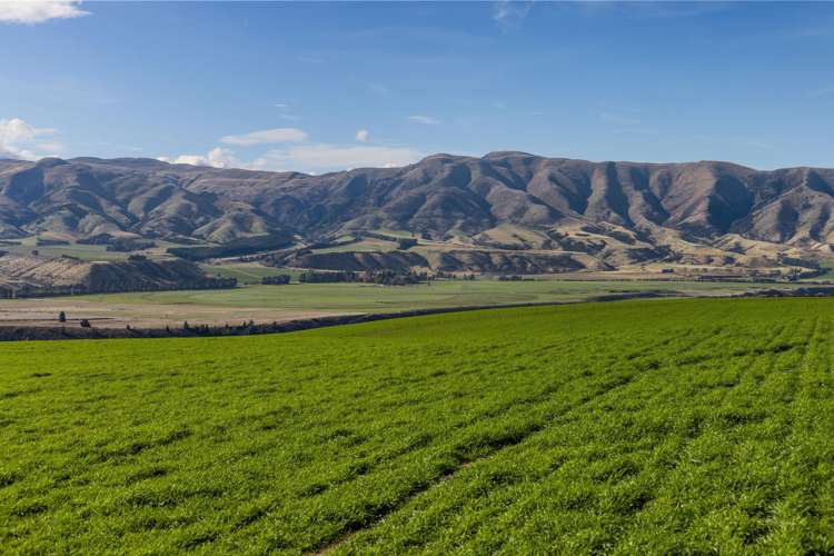 Lake McKay Station Luggate_6