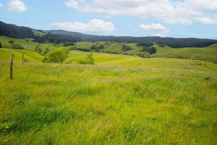 671 Ruakiwi Road Te Akau_12