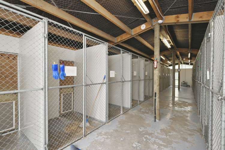 459 Fernside Road Fernside_14