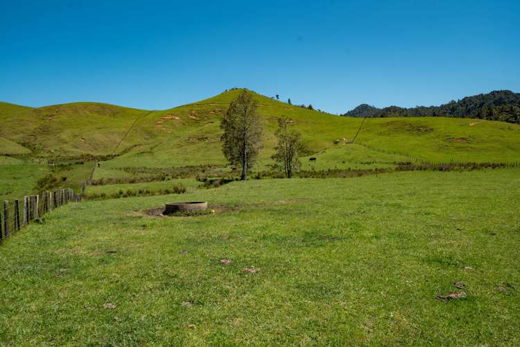375 Kaimarama Road Kaimarama_24