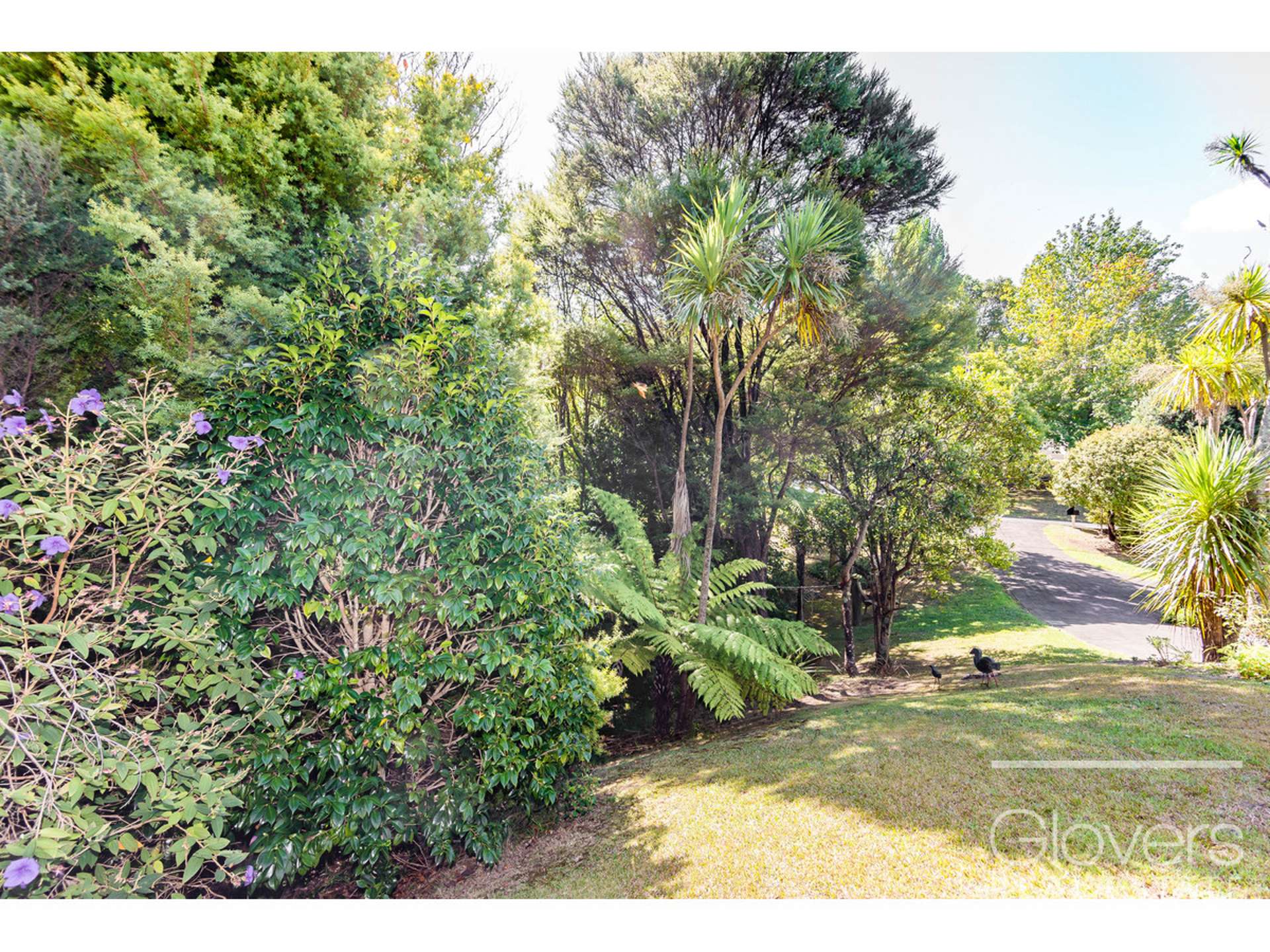 1 Lancewood Avenue Titirangi_0