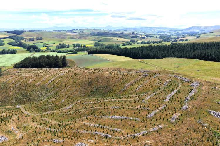 289 Otama Valley Road Otama_9