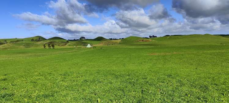 Parihaka Road Pungarehu_15