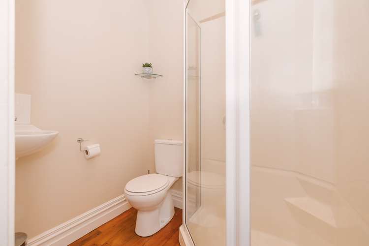 24 Alfred Street Roslyn_19