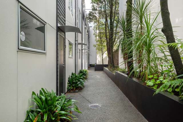 10/5 Millais Street Grey Lynn_4