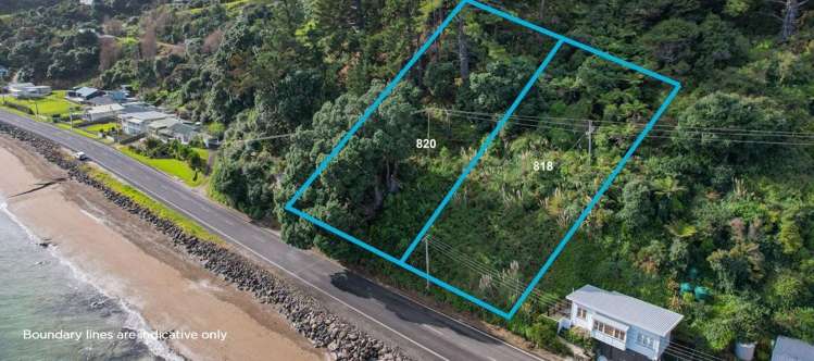 820 Thames Coast Road Te Mata_4