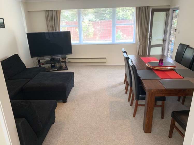 36 Seventeenth Avenue Tauranga South_5