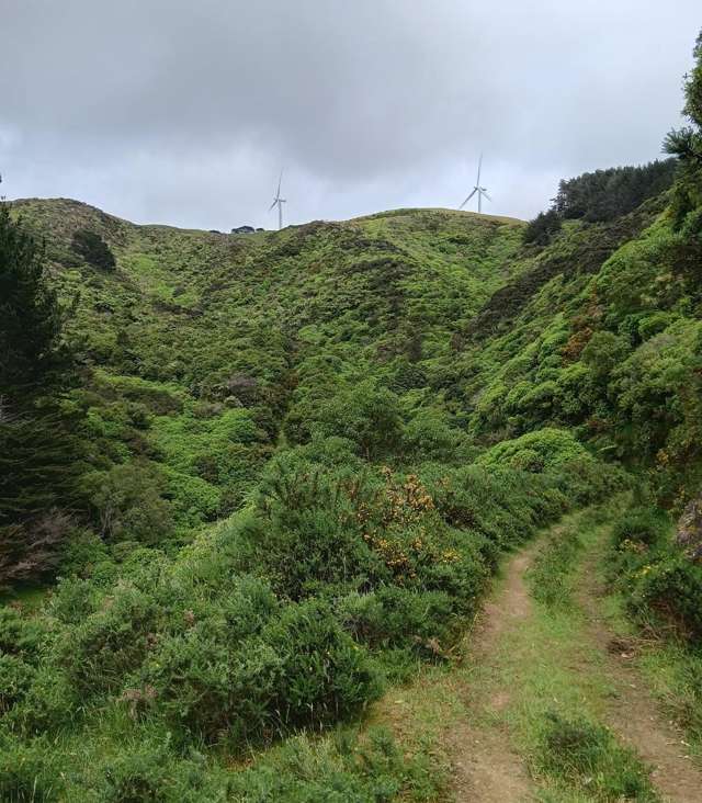 741 Makara Road Makara-ohariu_1