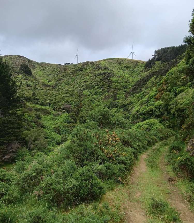 741 Makara Road Makara-ohariu_1