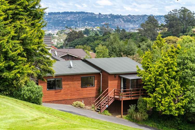 13 Cawdor Place Waverley_11