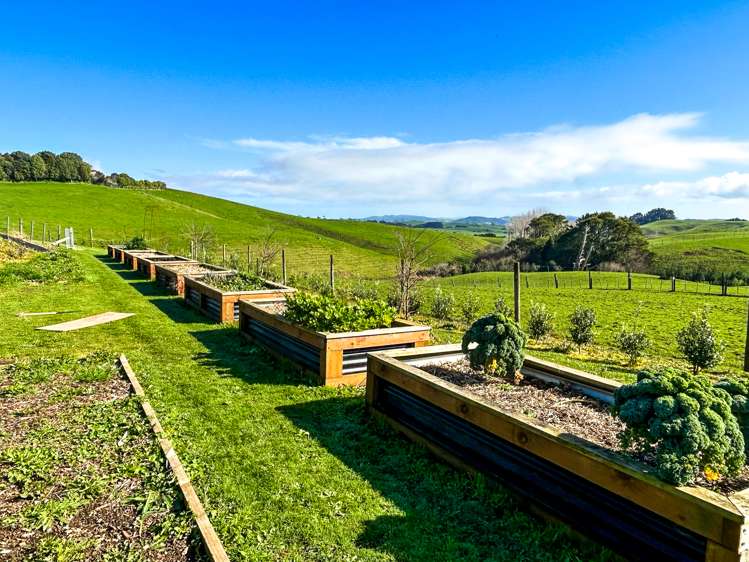 199a Checkley Road Raglan_33