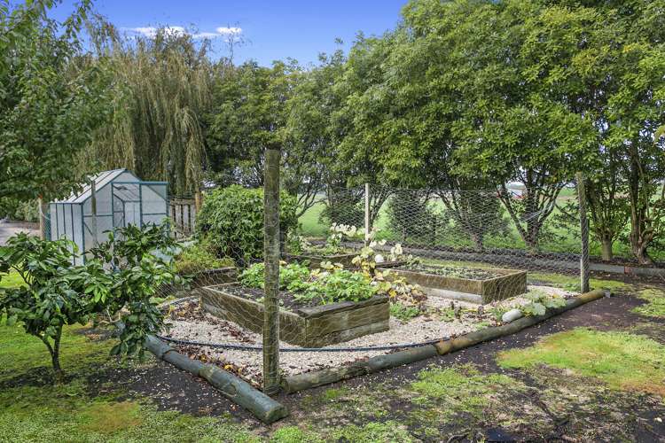 289 Kakepuku Road Te Awamutu_25