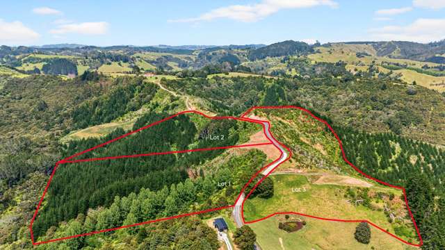 163 Ahuroa Road Puhoi_2