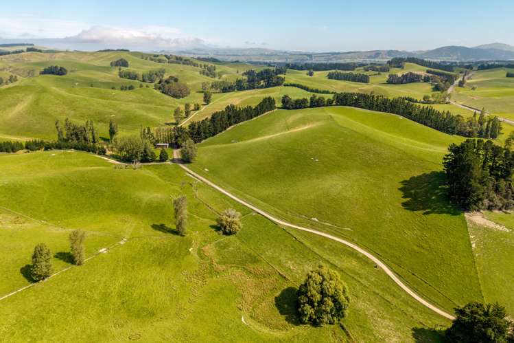 299 Domett Road Domett_11