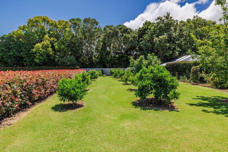 18 Blue Marlin Drive Kerikeri_12
