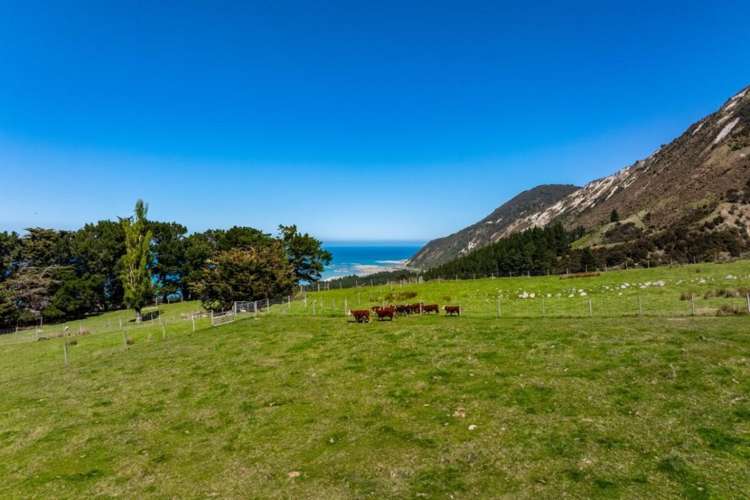 3237 State Highway 1, Waipapa Bay Kaikoura_12