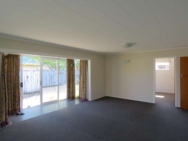 19b Norman Street Vogeltown_2