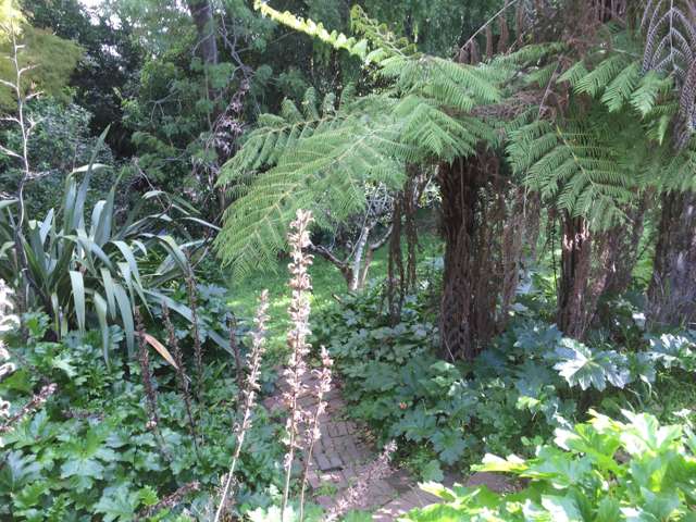 4/67 Brighton Road Parnell_3