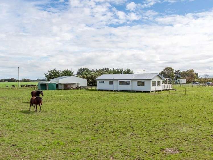 361 Whales Line Marton_22