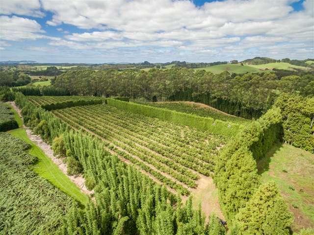 517 Kerikeri Road Kerikeri_4