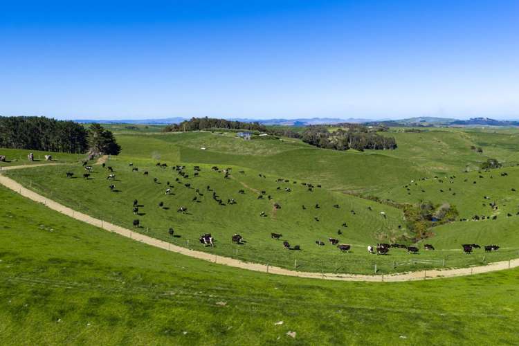 44 Te Papatapu Road Raglan_18