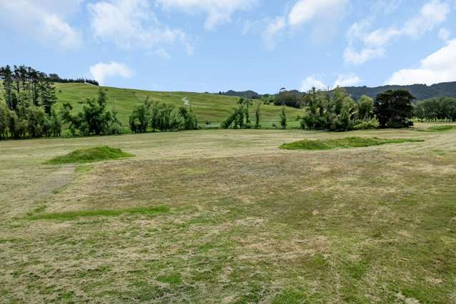Lot 3 Moorey Lane Otaika_4