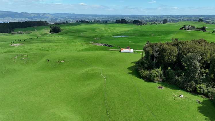 517 Te Waerenga Road Hamurana_6