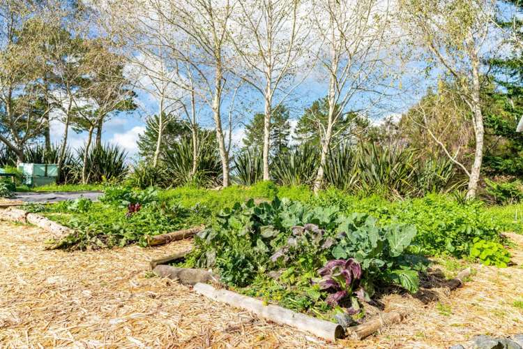 247 Tara Road Mangawhai_17