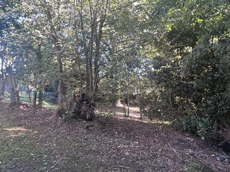 12 Larsen Court 2144_12