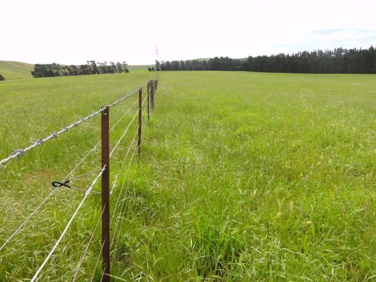 573 Glenmark Drive Waipara_2