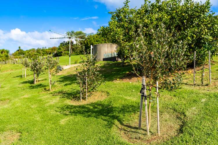 43 Cotton Lane Mangawhai_29