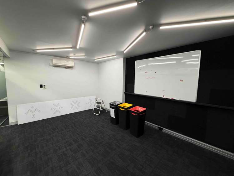 72 Dominion Road Mt Eden_7