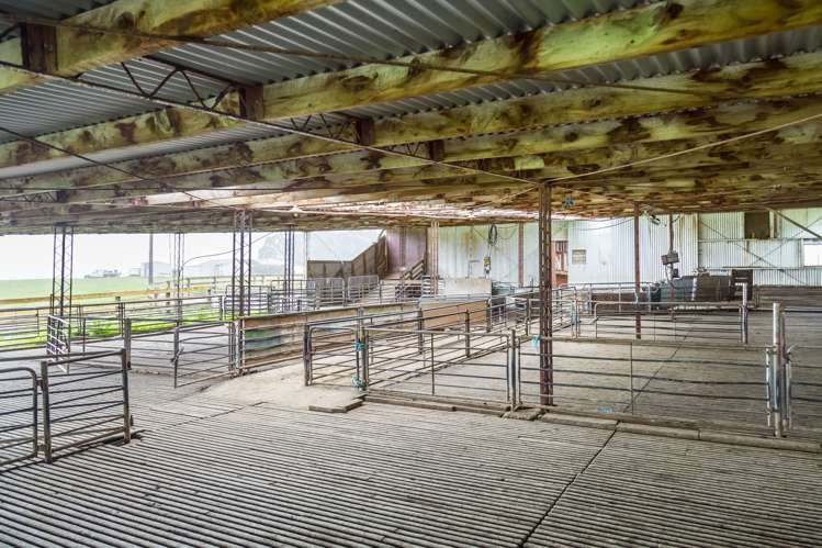 1091 Kopikopiko Road Eketahuna_7