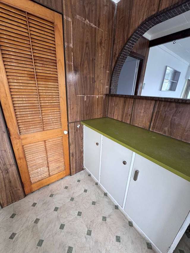 22 Ferguson Street Levin_4