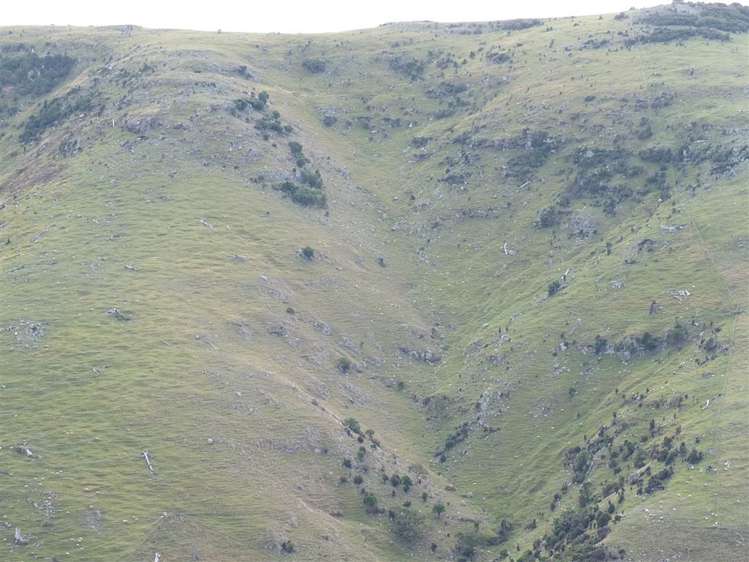 831 Chorlton Road Little Akaloa_33