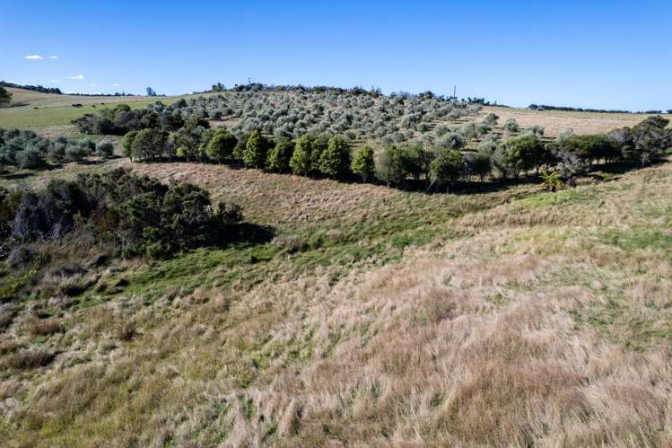 91 Keith Road and 587 Ormiston Road Ruakaka_16