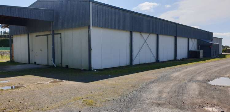 591 No 1 Road Te Puke_3