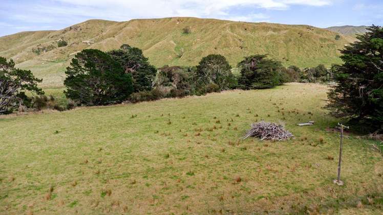 1450 Hinemoa Valley Road Pahiatua_18