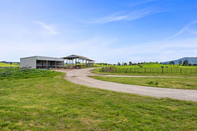 318 Gavin Road Rerewhakaaitu_7