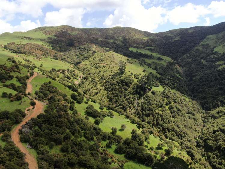 613 Pirongia West Road Oparau_13