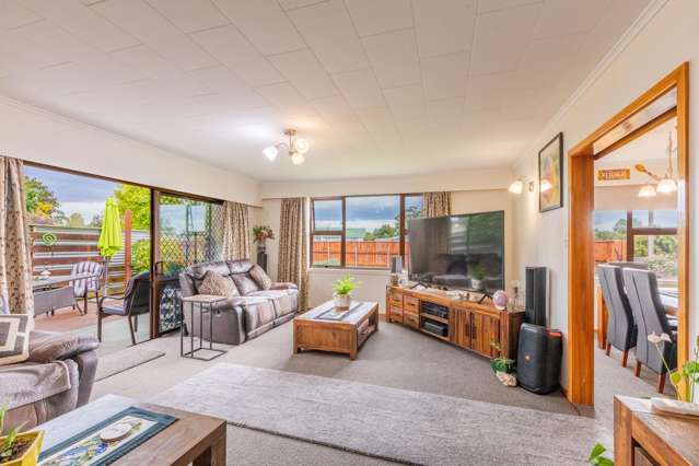 27 Norwich Crescent Tamatea_1